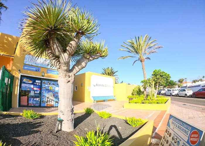 Drago 2 Atlantic Garden Apartment