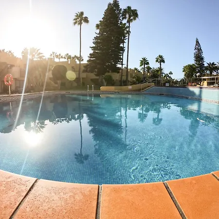 Drago 2 Atlantic Garden