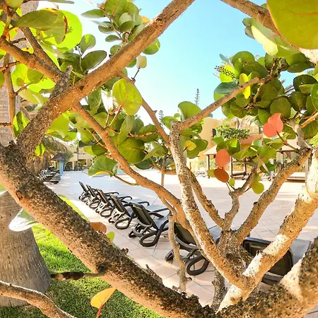 Apartamento Drago 2 Atlantic Garden *