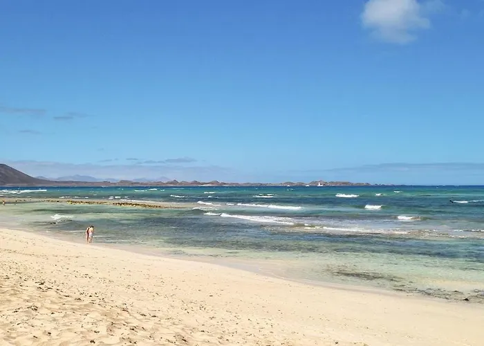 Drago 2 Atlantic Garden Corralejo