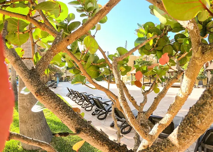 Apartmán Drago 2 Atlantic Garden *